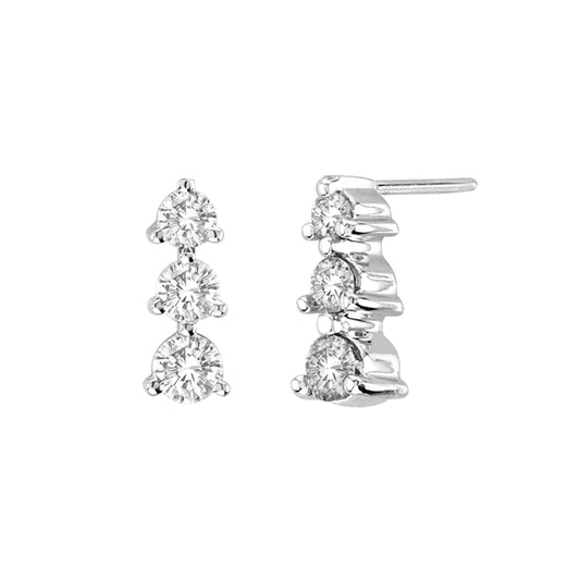 0.50 ctw diamond earring in 14K White Gold